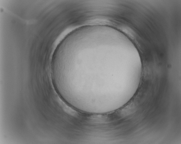 X0000062891478200601201833