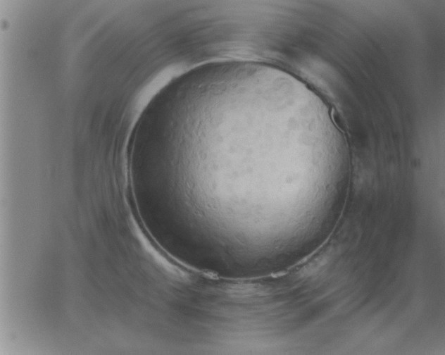 X0000062891479200601201833