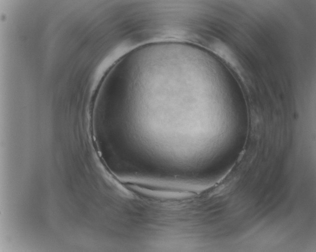 X0000062891480200601201833