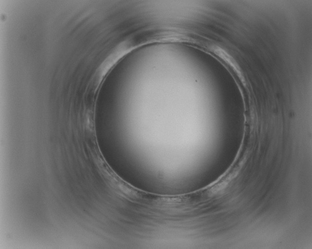 X0000062891481200601201833