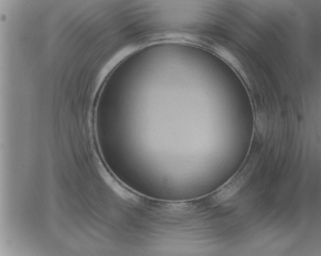 X0000062891482200601201833