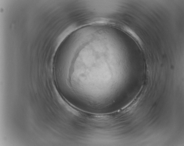 X0000062891483200601201833