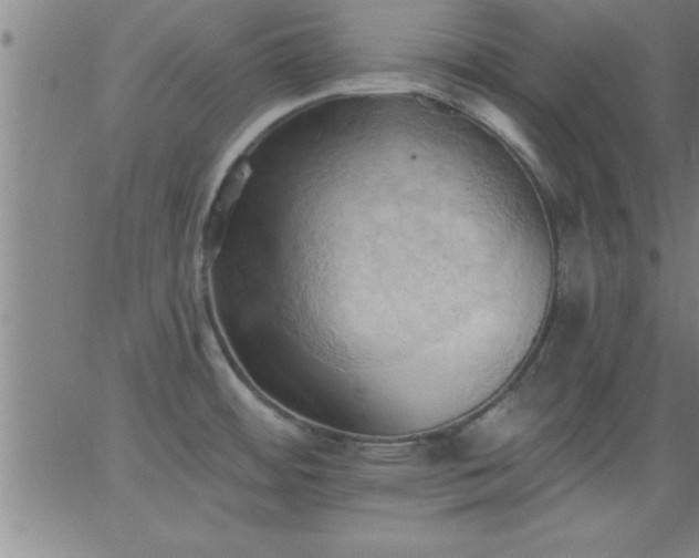 X0000062891484200601201833