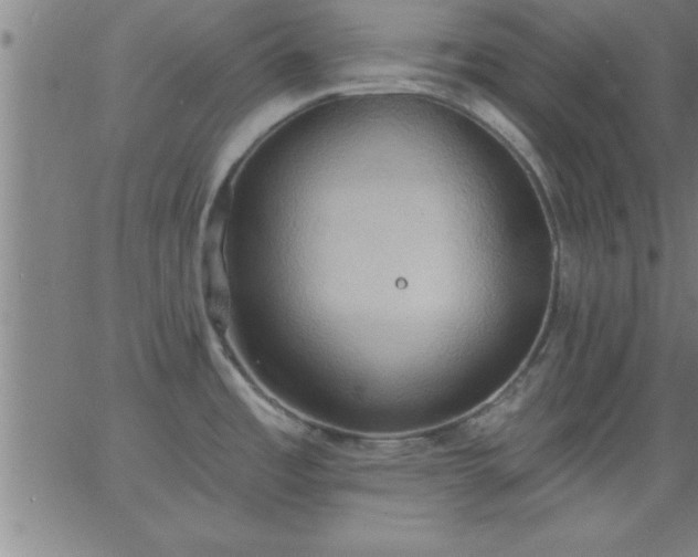 X0000062891485200601201833