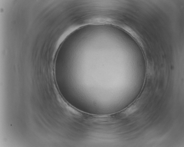 X0000062891486200601201833