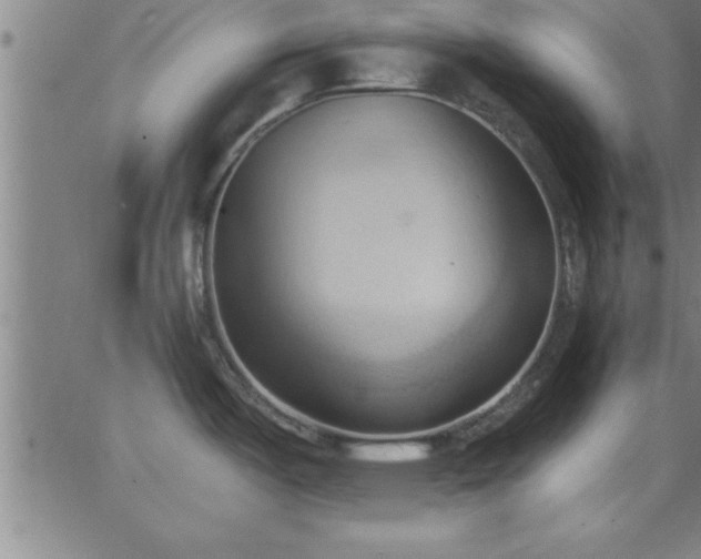 X0000062891487200601201833