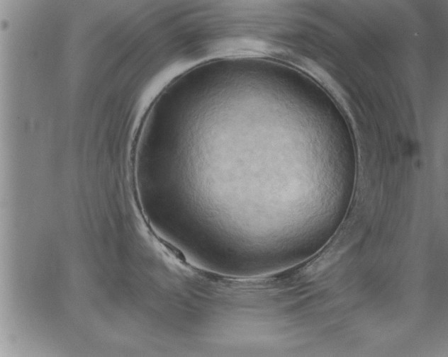 X0000062891488200601201833