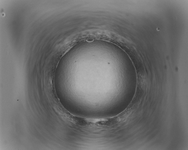 X0000062891489200601201832