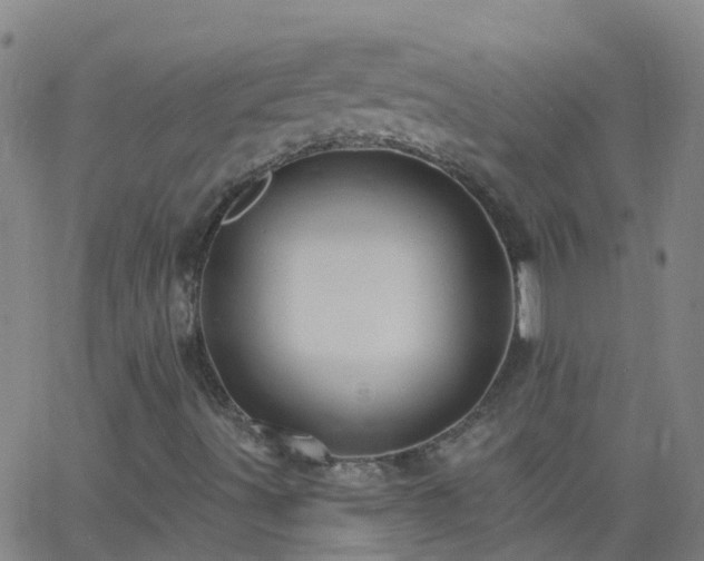 X0000062891491200601201832