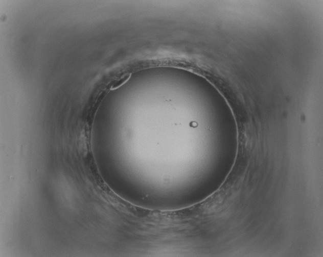 X0000062891493200601201832