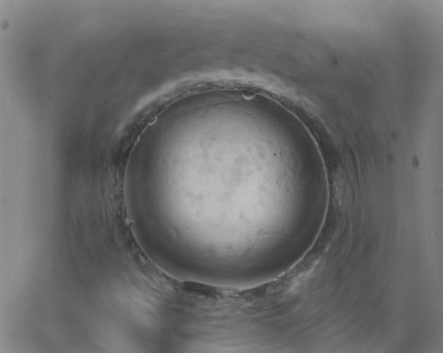 X0000062891494200601201832