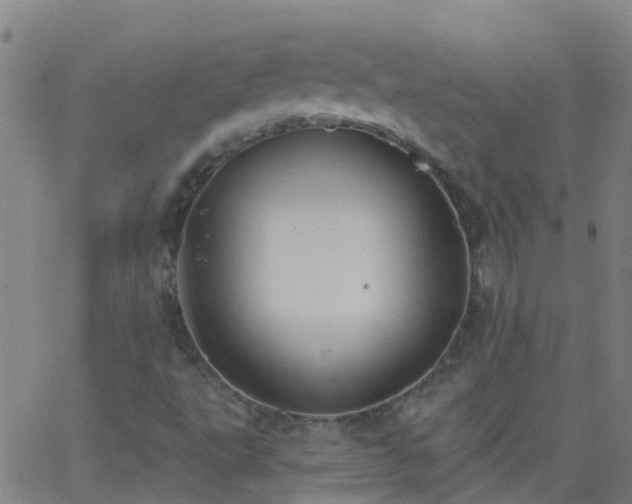 X0000062891495200601201832