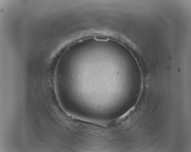 X0000062891496200601201832