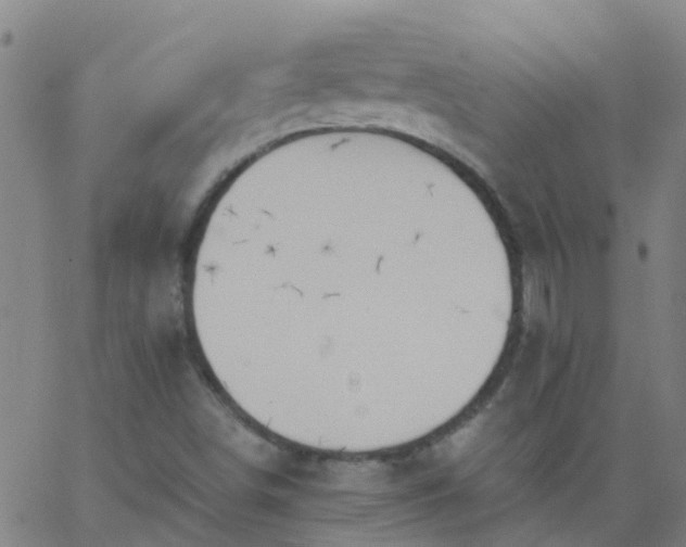 X0000062891498200601201832