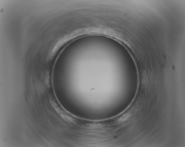 X0000062891499200601201832