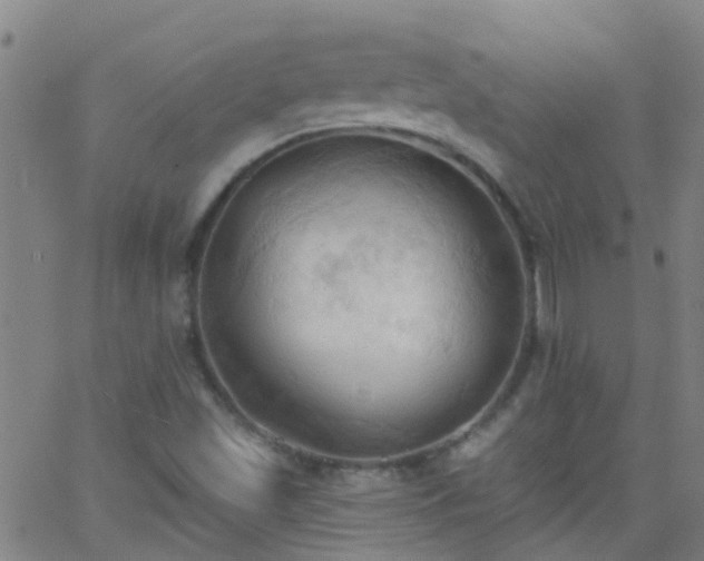 X0000062891501200601201832