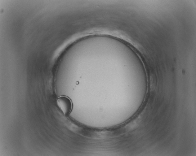 X0000062891502200601201832