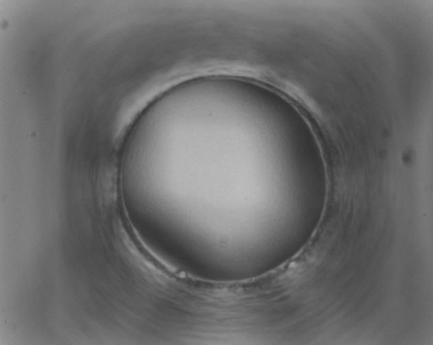 X0000062891504200601201832