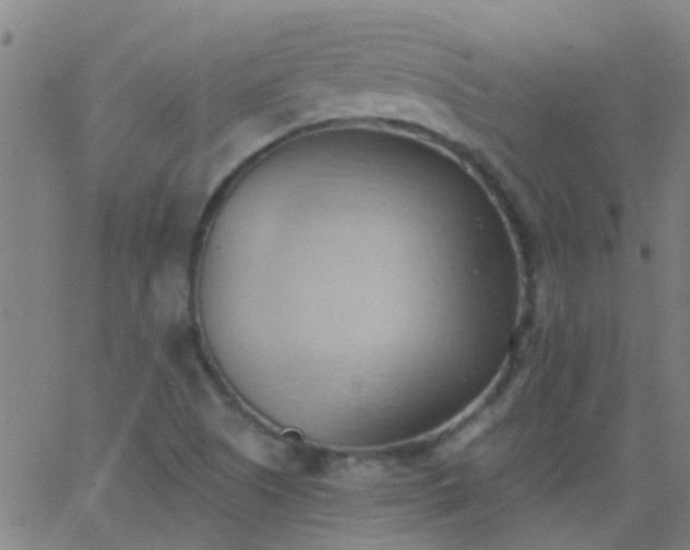 X0000062891505200601201832