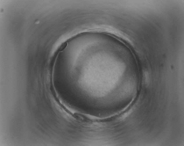 X0000062891506200601201832