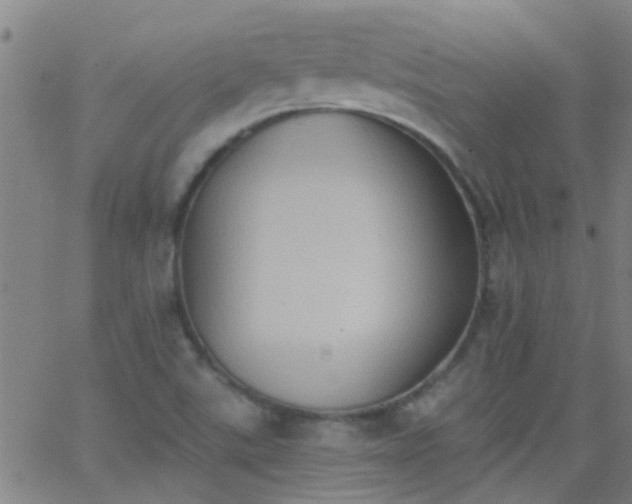 X0000062891507200601201832