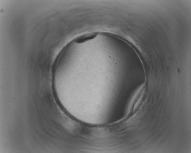 X0000062891508200601201832