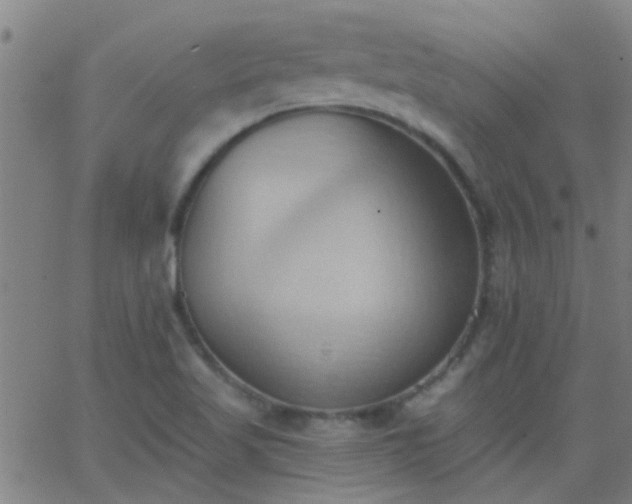 X0000062891509200601201832