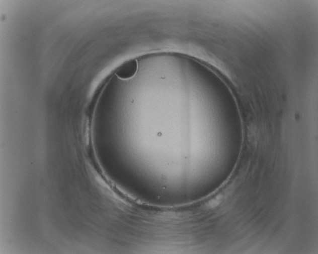 X0000062891510200601201832