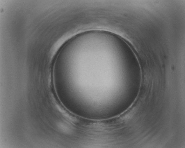 X0000062891511200601201832