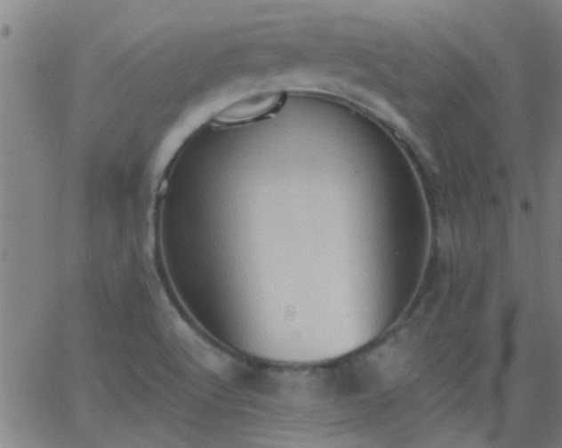 X0000062891512200601201832