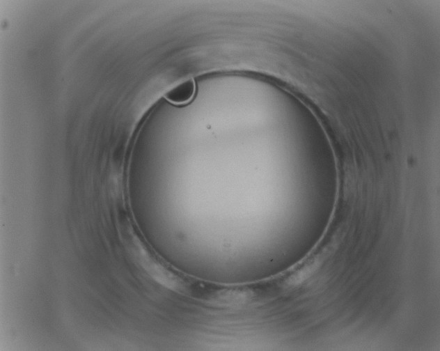 X0000062891513200601201833