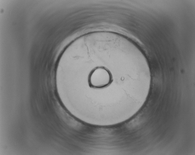 X0000062891514200601201833