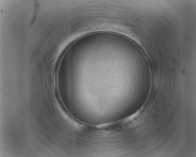 X0000062891515200601201833