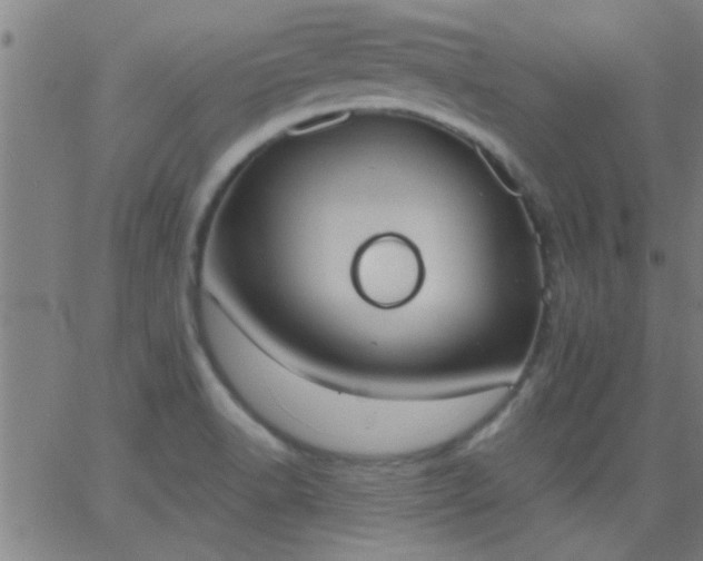 X0000062891518200601201833