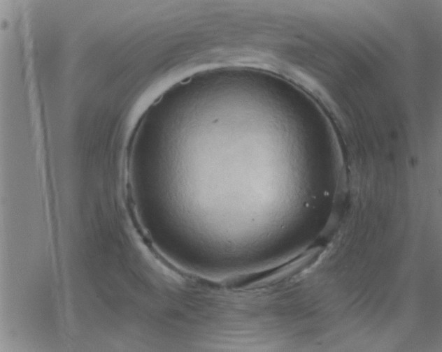 X0000062891520200601201833