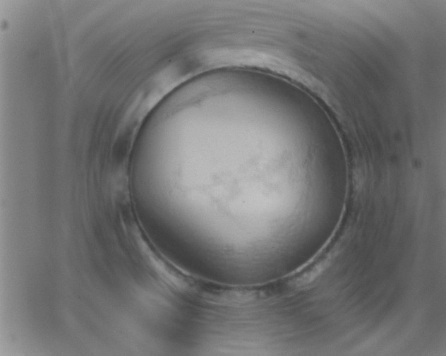 X0000062891521200601201833