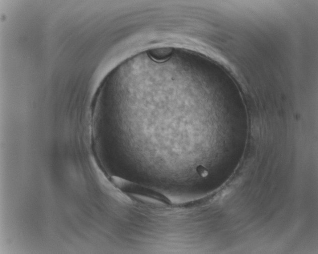 X0000062891522200601201833