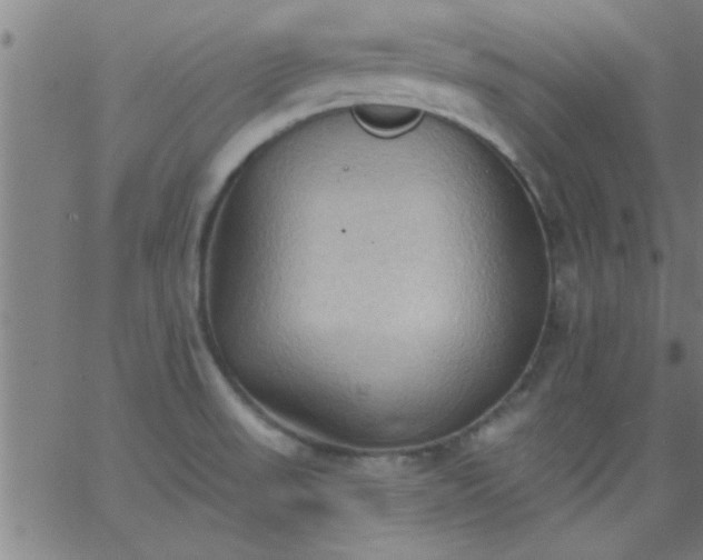 X0000062891523200601201833