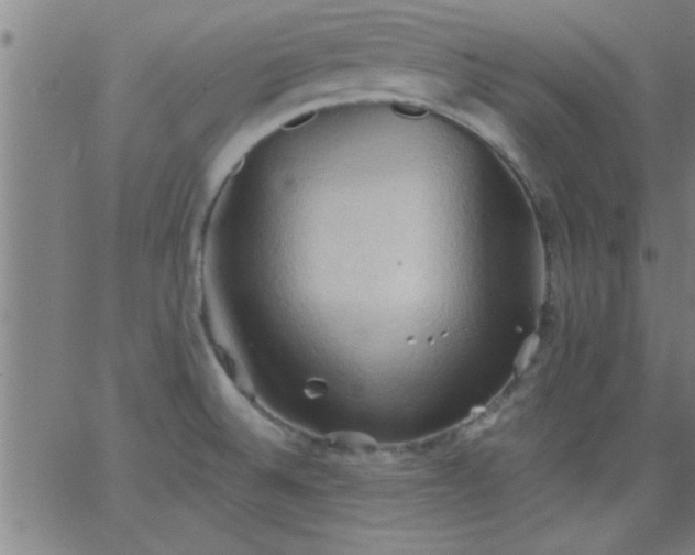 X0000062891524200601201833