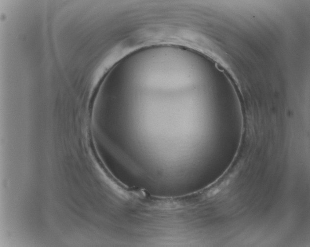 X0000062891525200601201833