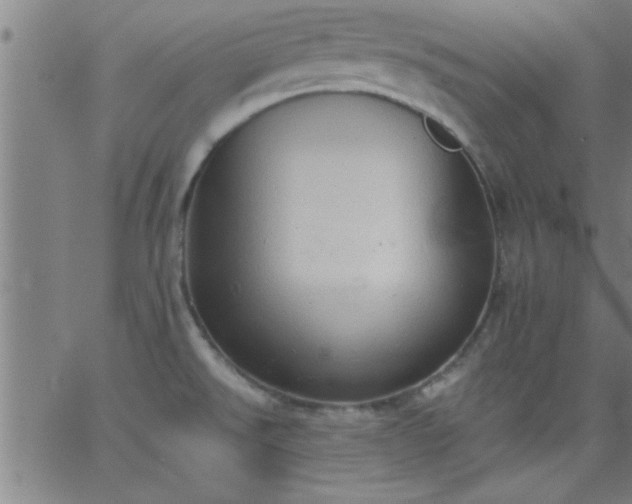 X0000062891526200601201833