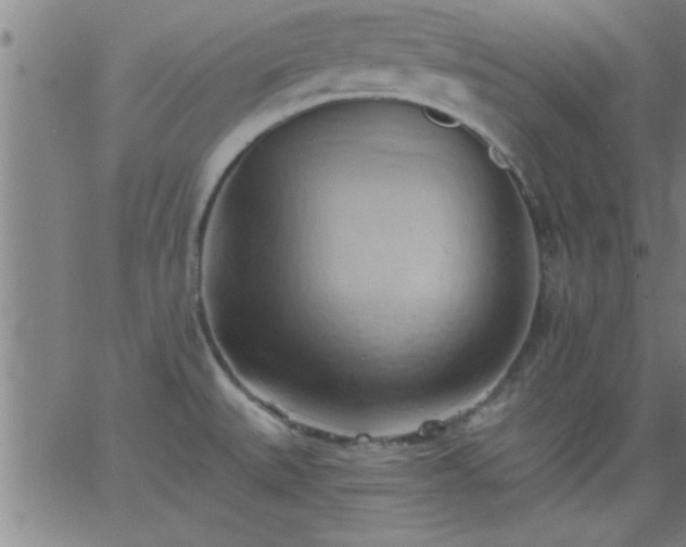 X0000062891527200601201833