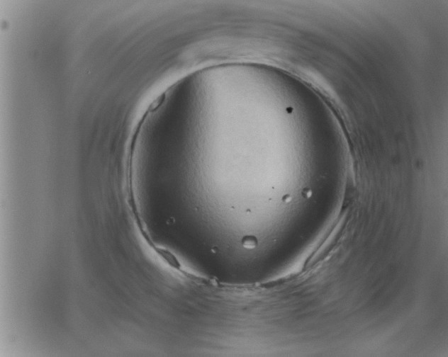 X0000062891528200601201833