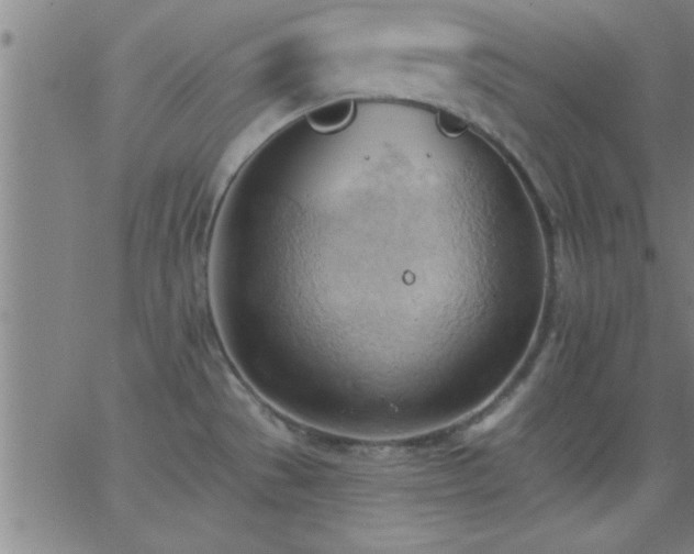 X0000062891529200601201833