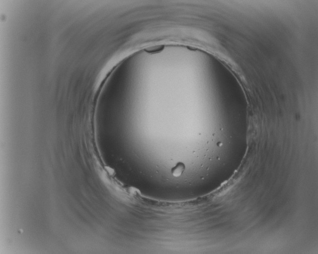 X0000062891530200601201833