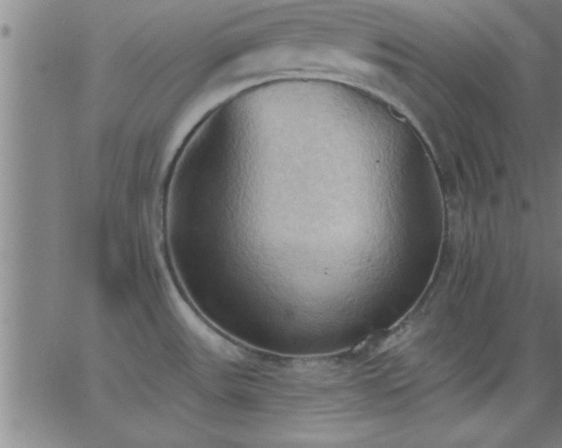 X0000062891531200601201833