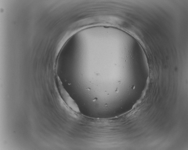 X0000062891532200601201833