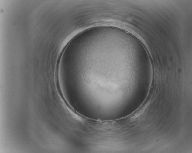 X0000062891533200601201833