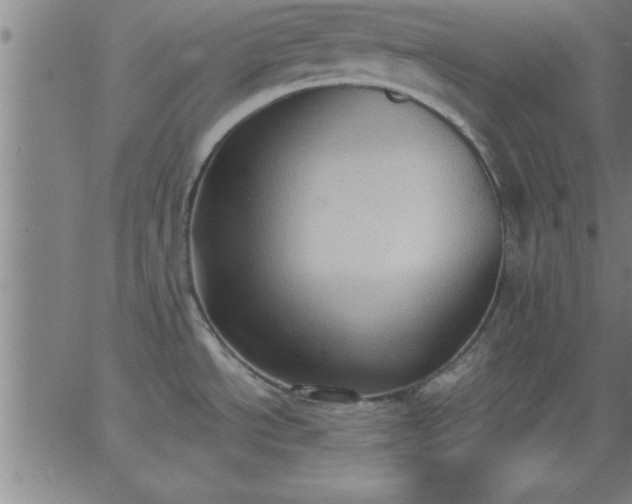 X0000062891534200601201833