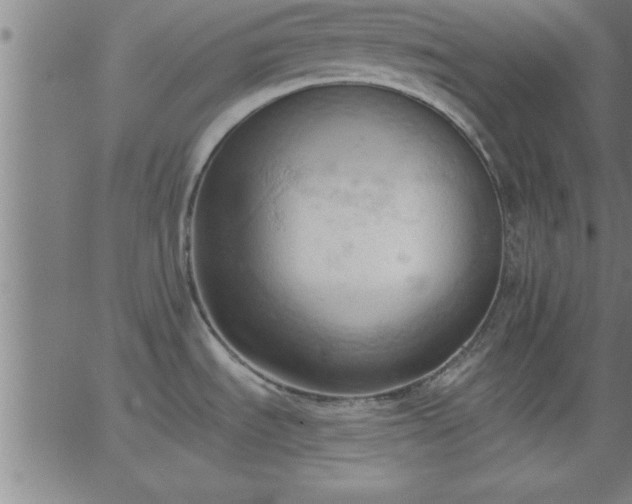 X0000062891535200601201833